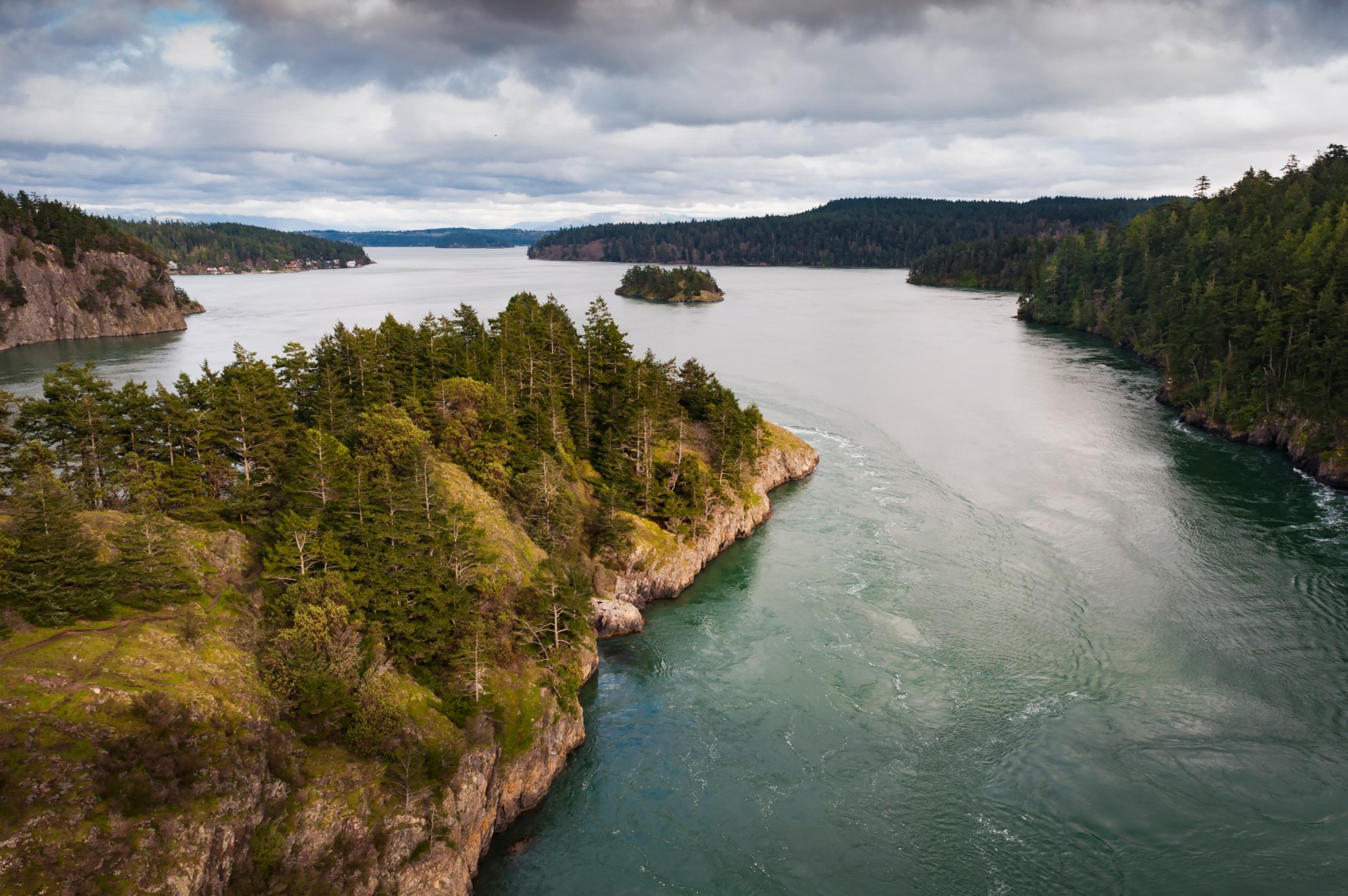 Observation des baleines sur l'île de Vancouver